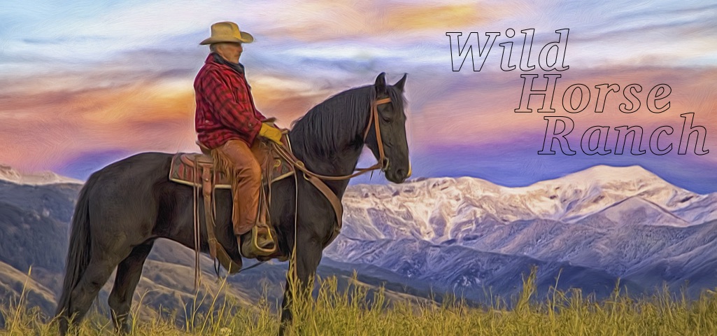 Wild horse ranch