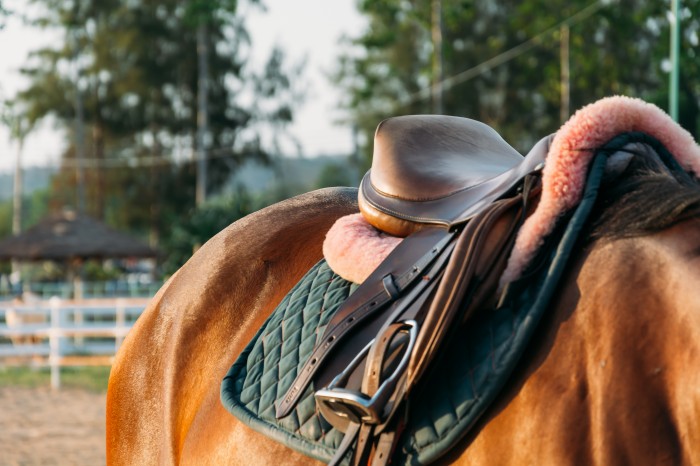 Choosing the brand of a restored Pre-owned saddle